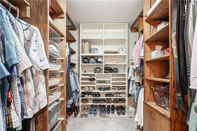 spacious closet with carpet