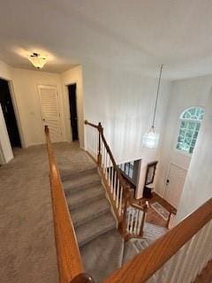 stairway with carpet flooring