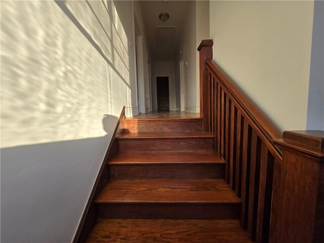 empty room with hardwood / wood-style flooring