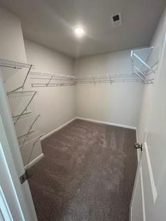 4258 SW Notting Hill Dr Unit 32, Atlanta, GA 30331 - walk in closet with carpet flooring and visible vents
