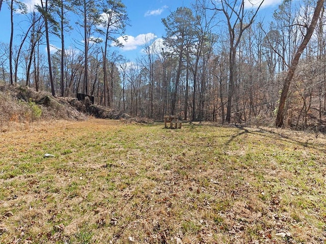 view of yard featuring a wooded view