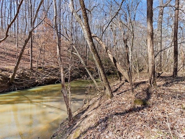 view of local wilderness with a forest view and a water view