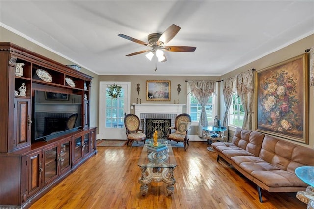 living room with crown molding, a fireplace, light hardwood / wood-style floors, and ceiling fan