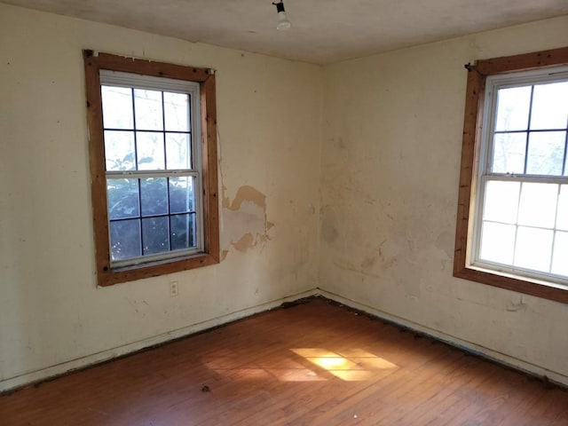 spare room featuring wood finished floors and a healthy amount of sunlight