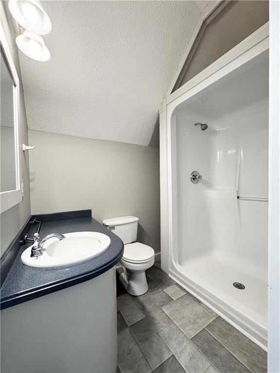 238 Marks Rd, Mansfield, GA 30055 - bathroom featuring vanity, a textured ceiling, a shower, and lofted ceiling