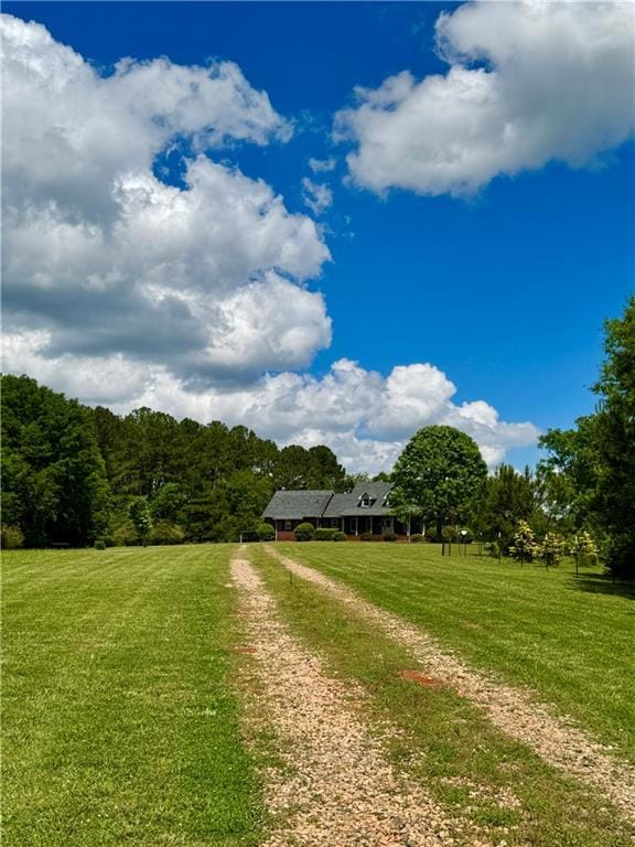 238 Marks Rd, Mansfield, GA 30055 - view of grassy yard with dirt driveway and a view of trees