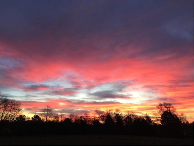 238 Marks Rd, Mansfield, GA 30055 - view of nature at dusk