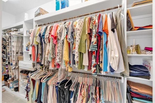 view of spacious closet