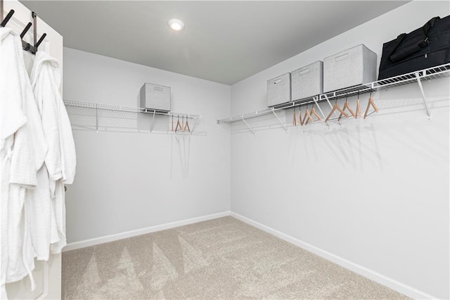 spacious closet with carpet