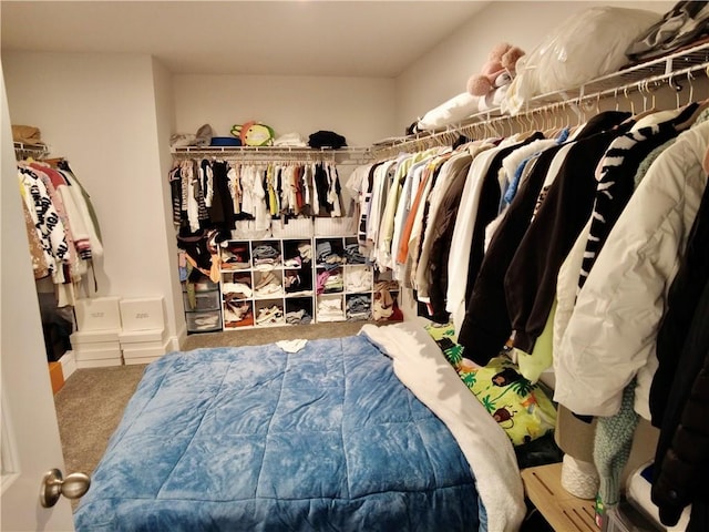 walk in closet with carpet floors