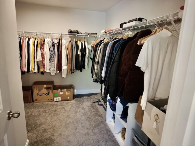 walk in closet with carpet flooring
