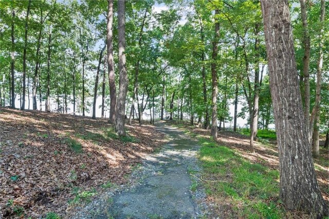 9430 Chestatee Ct, Gainesville, GA 30506 - view of road