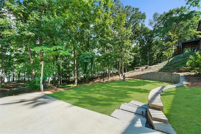 9430 Chestatee Ct, Gainesville, GA 30506 - view of green lawn