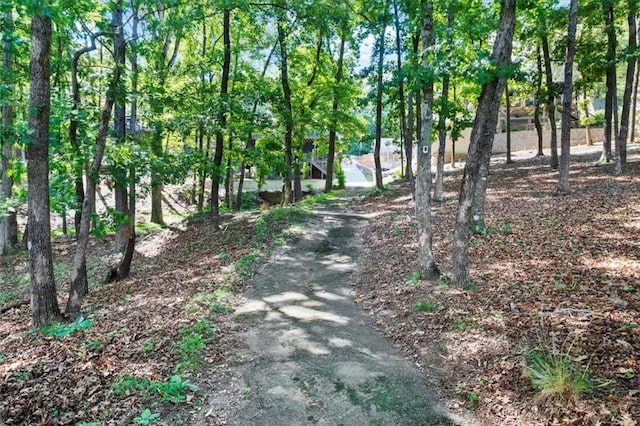 9430 Chestatee Ct, Gainesville, GA 30506 - view of road