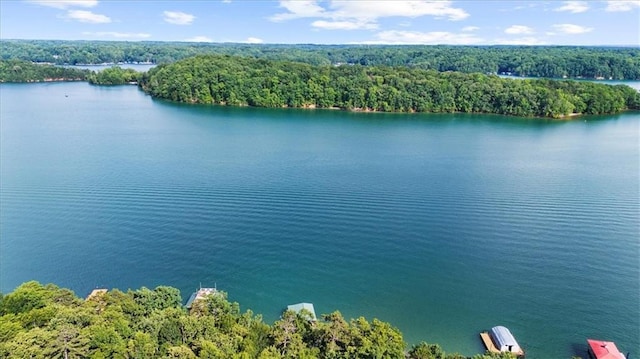 9430 Chestatee Ct, Gainesville, GA 30506 - bird's eye view of a heavily wooded area and a large body of water