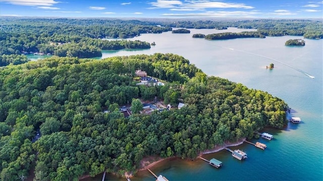 9430 Chestatee Ct, Gainesville, GA 30506 - drone / aerial view of a heavily wooded area and a large body of water