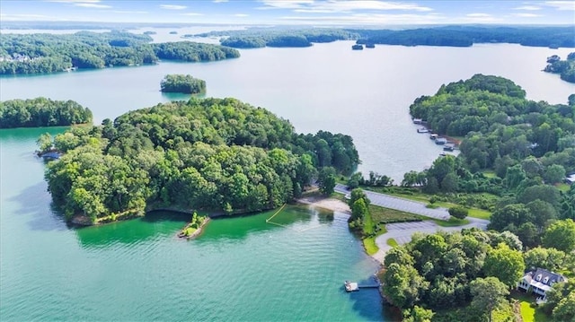 9430 Chestatee Ct, Gainesville, GA 30506 - drone / aerial view of a nearby body of water and a forest