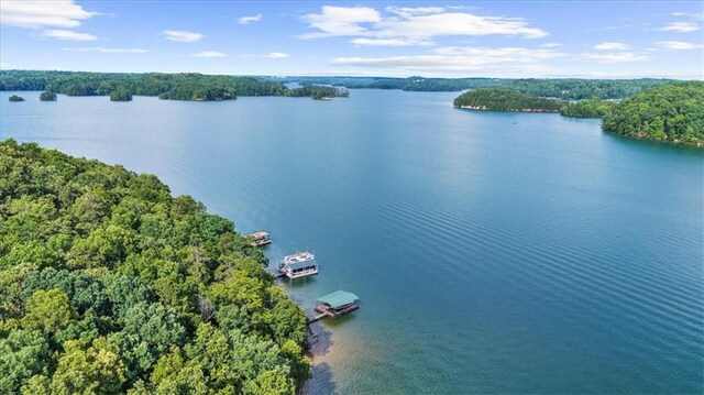 9430 Chestatee Ct, Gainesville, GA 30506 - bird's eye view of a nearby body of water and a heavily wooded area