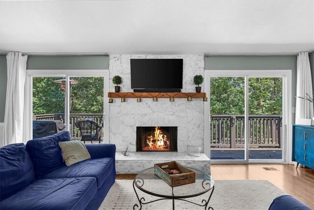 9430 Chestatee Ct, Gainesville, GA 30506 - living area featuring wood finished floors and a high end fireplace