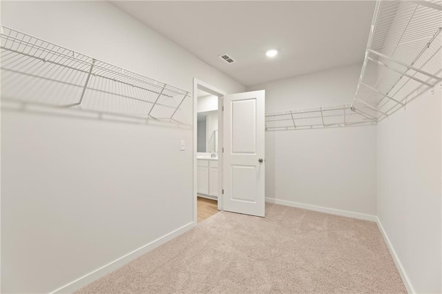 4032 Trimrose Ct, Atlanta, GA 30349 - walk in closet with light carpet