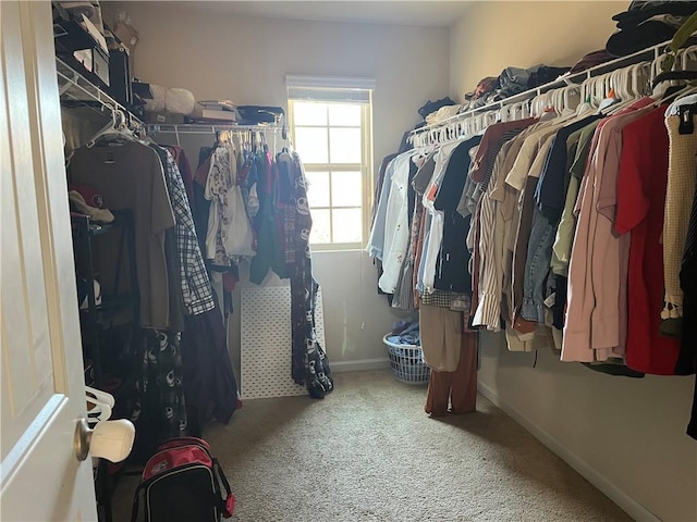 spacious closet featuring carpet floors