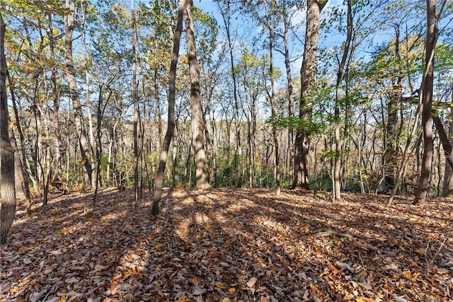 view of local wilderness