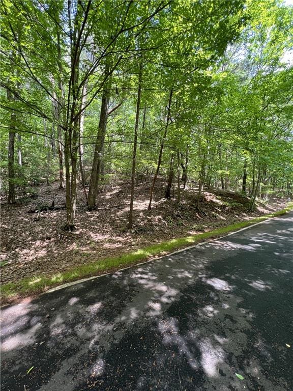 9070 Yearling Ln, Big Canoe GA, 30143 land for sale