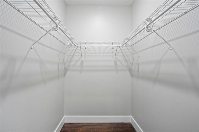 spacious closet with dark hardwood / wood-style flooring