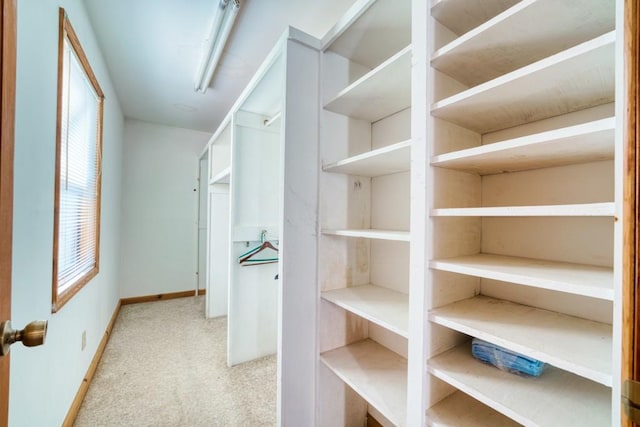 spacious closet with light carpet