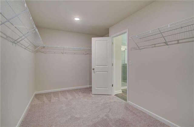 spacious closet with carpet flooring