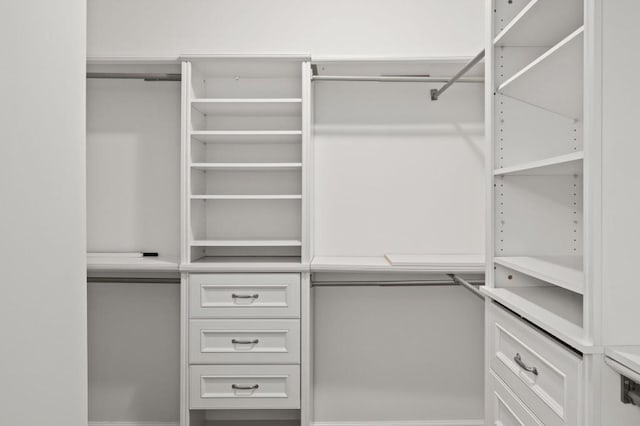 view of spacious closet