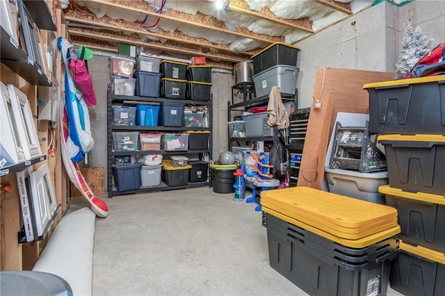 48 Violet Ln, Dallas, GA 30132 - view of storage area