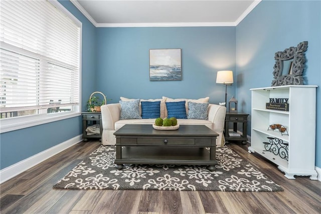48 Violet Ln, Dallas, GA 30132 - living room featuring wood finished floors, baseboards, and ornamental molding