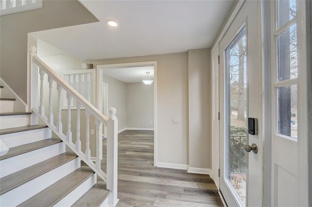 entryway featuring wood-type flooring