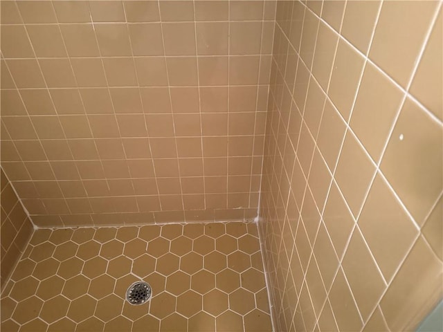 2943 E Howell Dr, Lawrenceville, GA 30044 - interior space with tiled shower