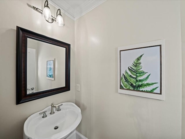 bathroom with sink and crown molding