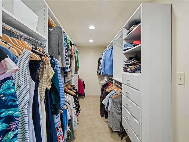 spacious closet with light carpet