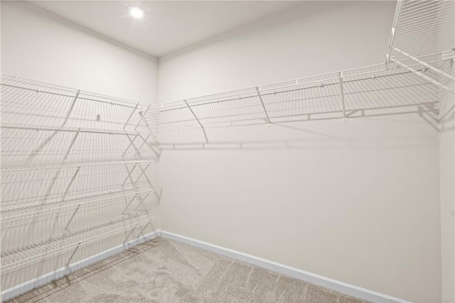 walk in closet featuring carpet flooring