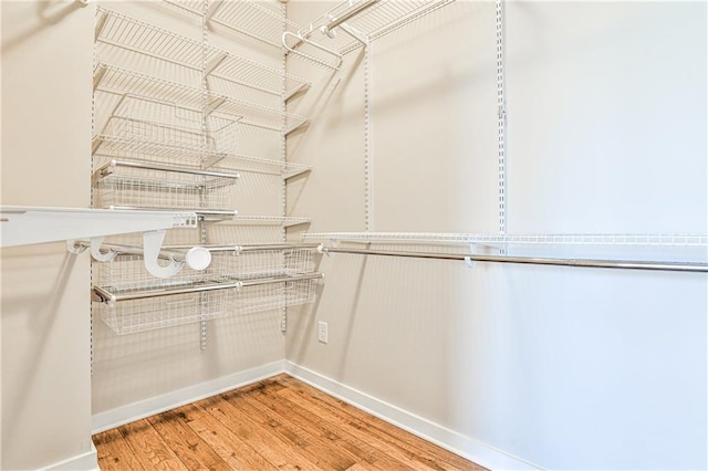 walk in closet featuring wood finished floors