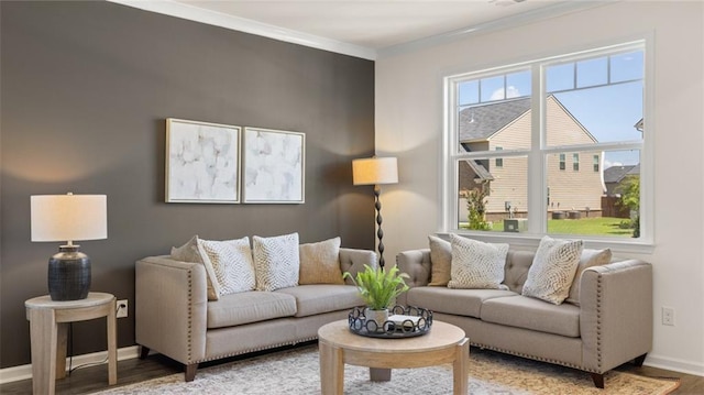 living room featuring ornamental molding and light wood-type flooring