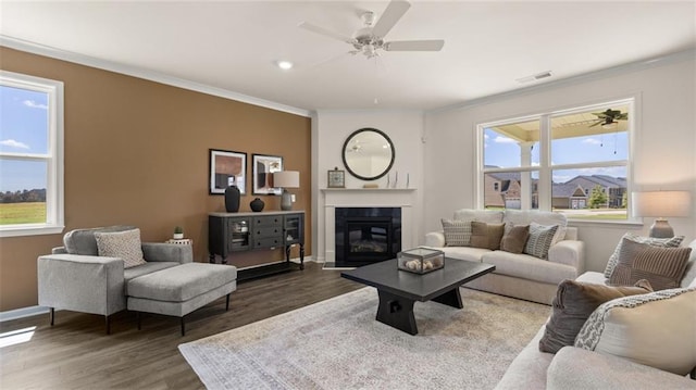 living room featuring crown molding, dark wood-type flooring, and ceiling fan