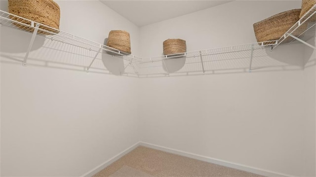 walk in closet featuring carpet