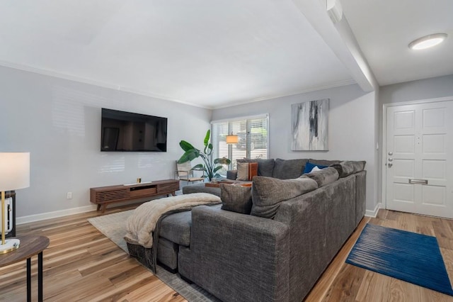 46 Ivy Rdg NE, Atlanta, GA 30342 - living area featuring light wood-style flooring, baseboards, and ornamental molding