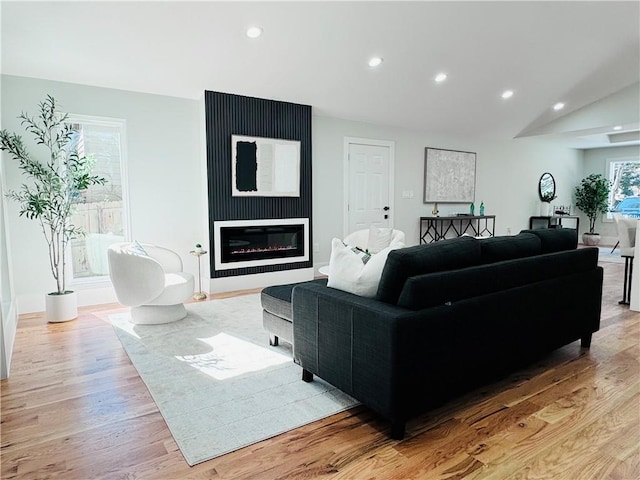 living room featuring a fireplace and light wood-type flooring