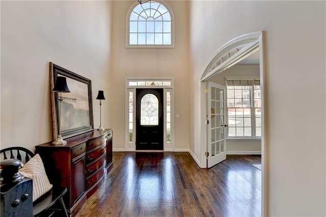 foyer with a towering ceiling, dark hardwood / wood-style floors, and a healthy amount of sunlight