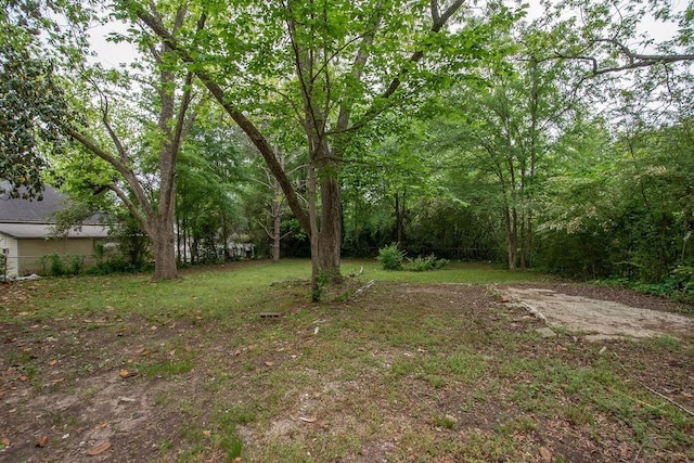 1402 Elm St, Lagrange, GA 30240 - view of yard featuring a forest view