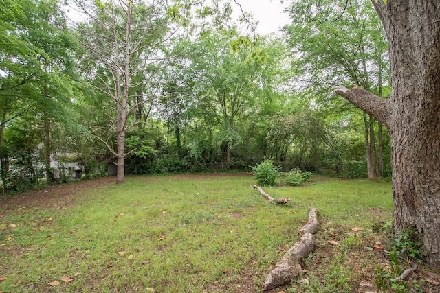 1402 Elm St, Lagrange, GA 30240 - view of yard featuring a view of trees