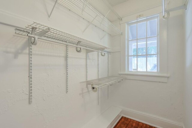 spacious closet with dark wood-style floors