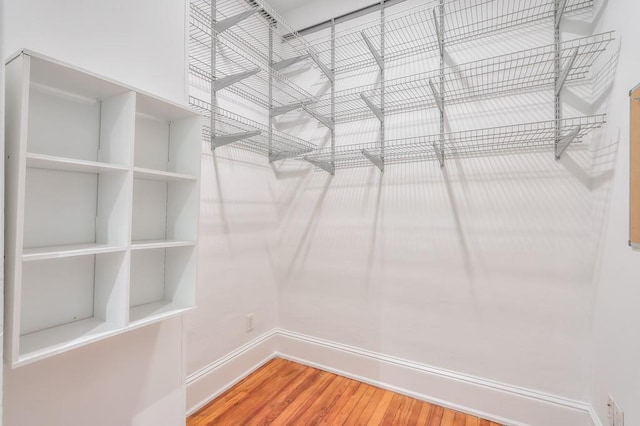 spacious closet featuring wood finished floors