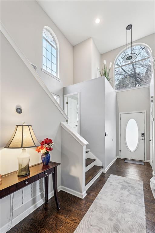 entryway featuring a high ceiling and dark hardwood / wood-style flooring